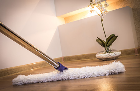 Floor mopping plus - how to clean various types of floor