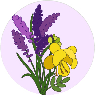 Lavender Patchouli