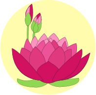 Lotus water flowers